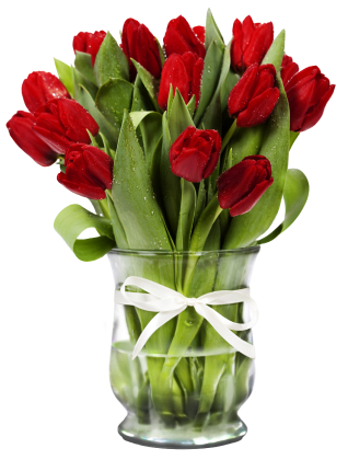 Flower Image
