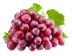 fruit1 image