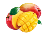 fruit3  image